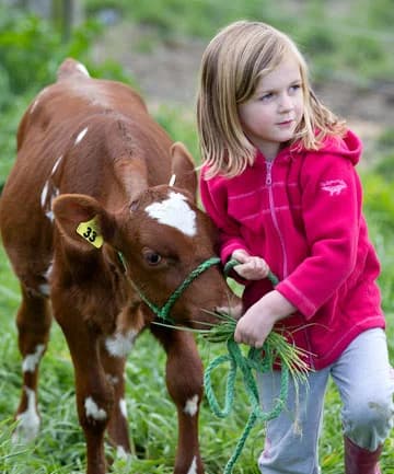 Compassion for animals